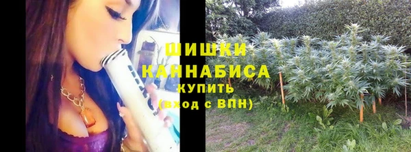 амф Аркадак