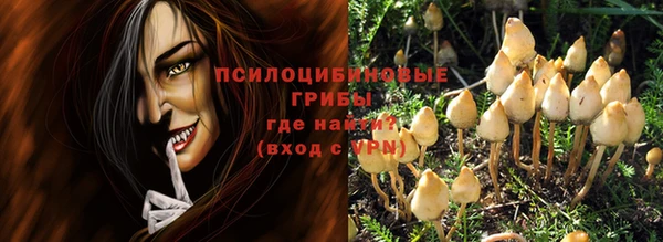 амф Аркадак